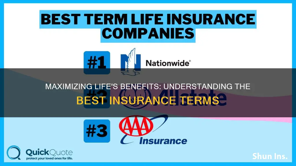 what is the best insurance term or life