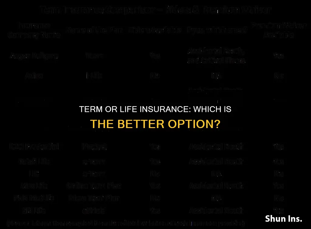 what is the best insurance term or life