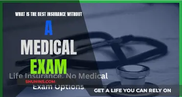 Best No Medical Exam Insurance Options