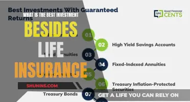 Diversifying Your Portfolio: Top Investment Options Beyond Life Insurance