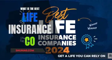 Top Life Insurance Companies: Finding the Best Fit for You