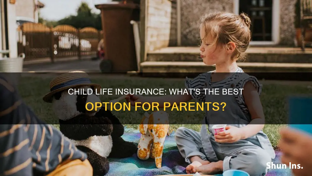 what is the best life insurance for a child