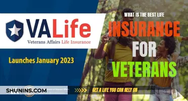 Veteran's Guide to Top Life Insurance Plans