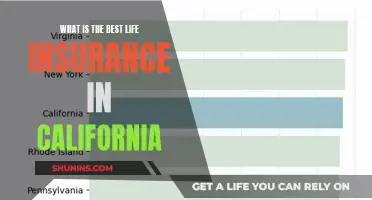 California Life Insurance: Top Choices for Comprehensive Coverage