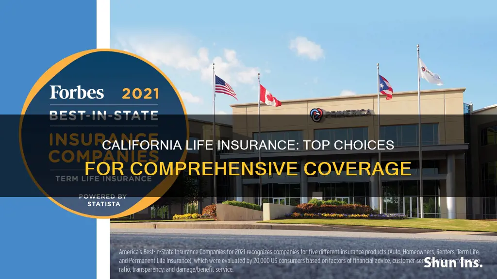 what is the best life insurance in California