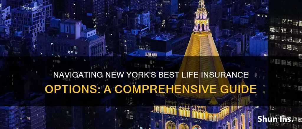 what is the best life insurance in New York