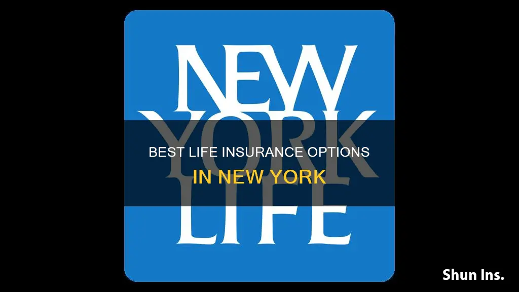 what is the best life insurance in New York