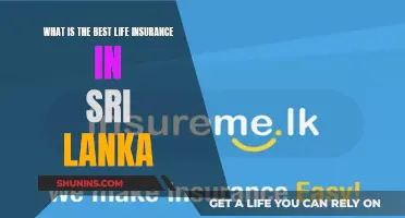 Best Life Insurance in Sri Lanka: Top Choices Revealed