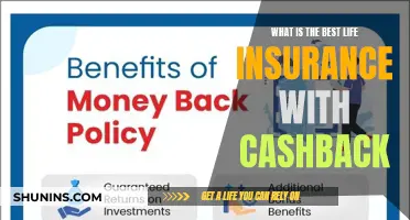 Maximize Savings: Top Cashback Life Insurance Plans Revealed