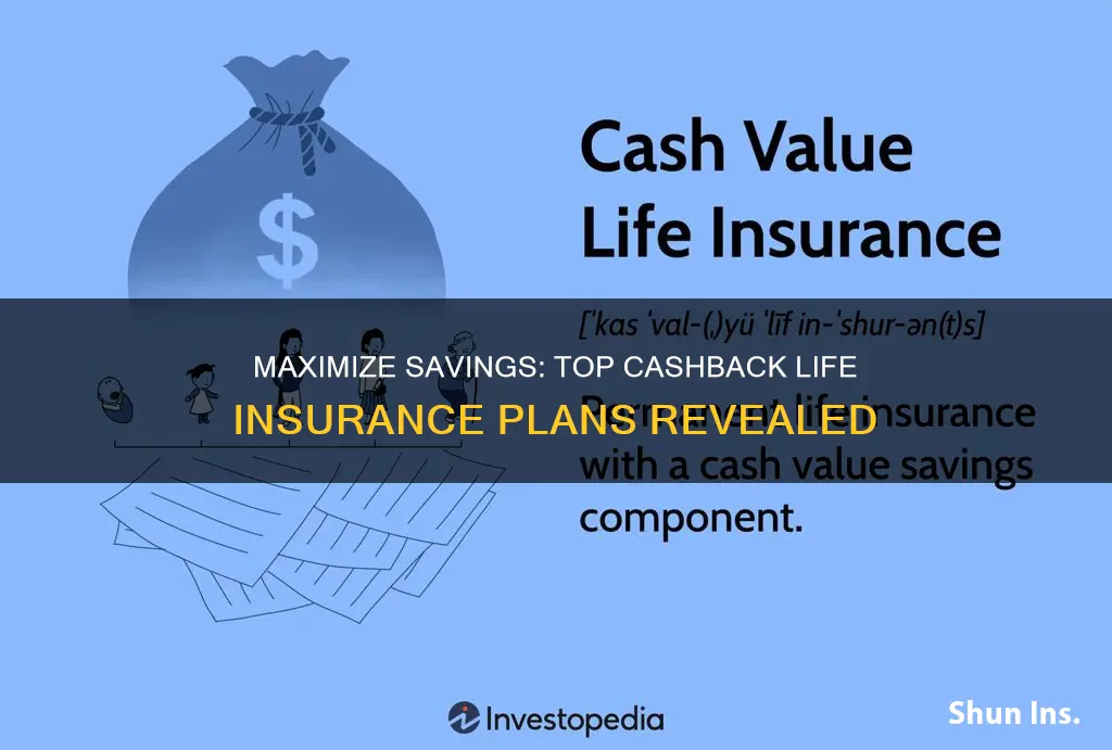 what is the best life insurance with cashback