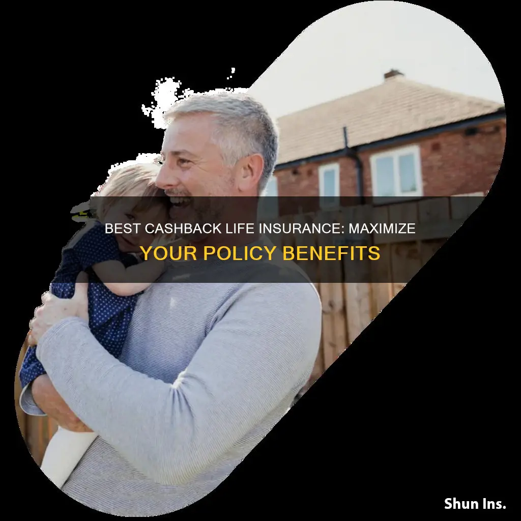 what is the best life insurance with cashback