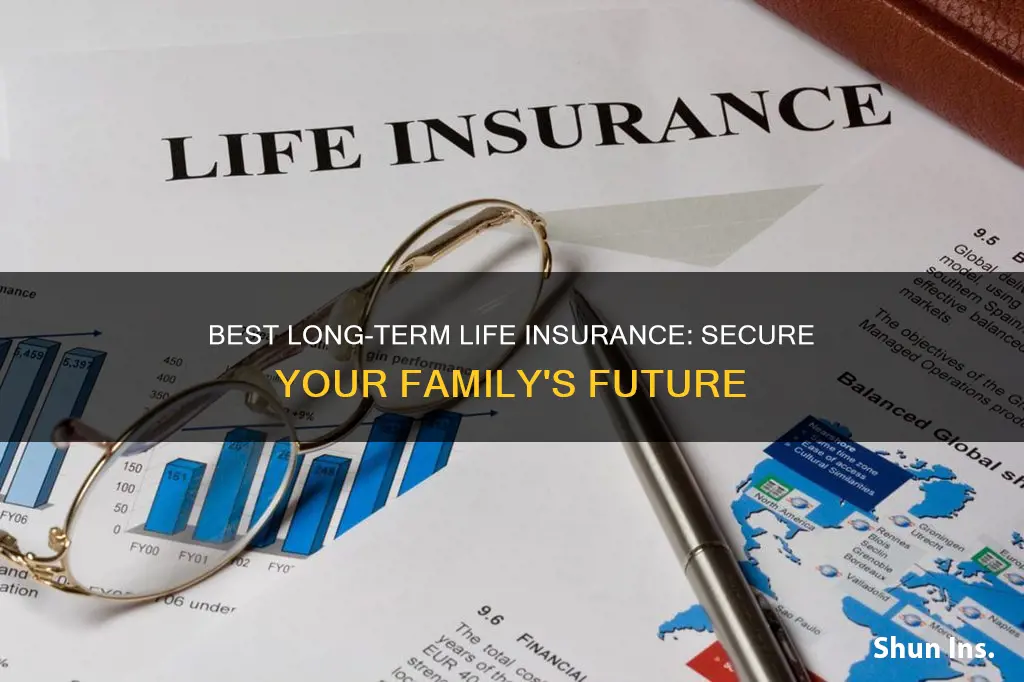 what is the best long term life insurance
