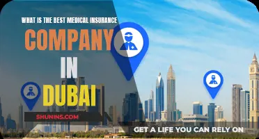 Top Medical Insurance Companies in Dubai: Who's the Best?