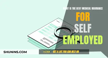 Best Medical Insurance Options for Self-Employed Individuals