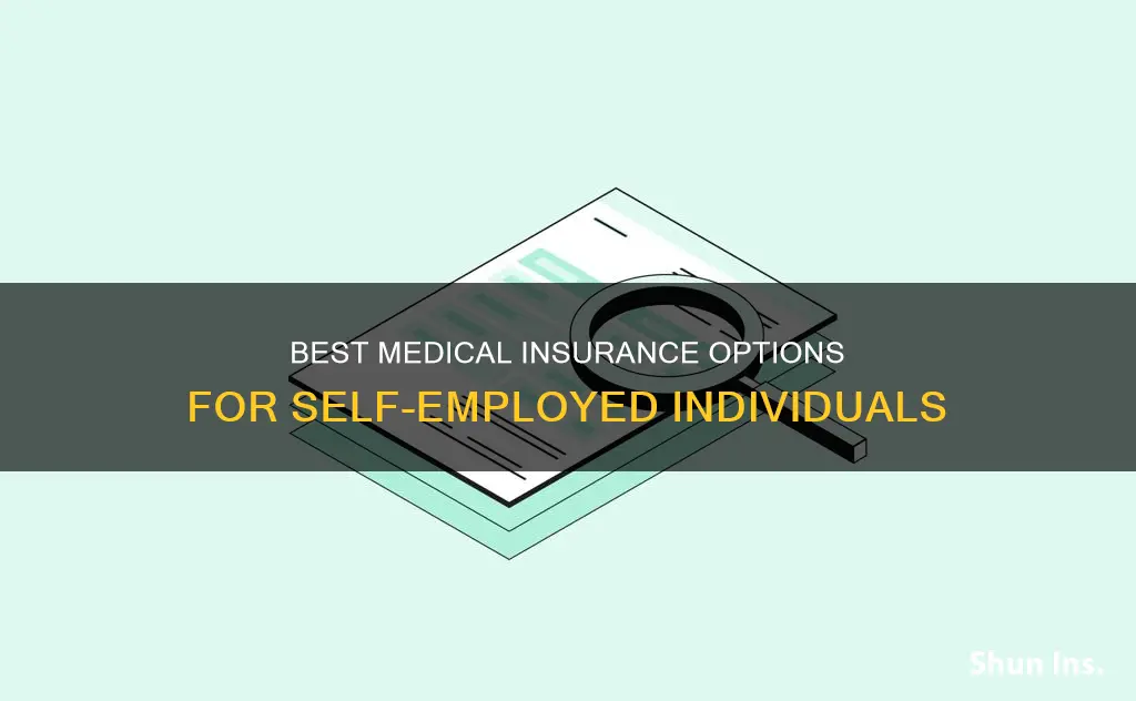 what is the best medical insurance for self employed
