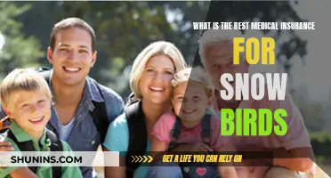 Snowbirds' Guide to Choosing the Right Medical Insurance