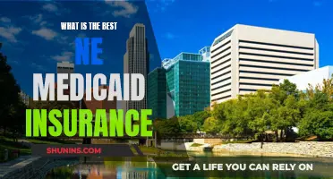 Best NE Medicaid Insurance: Top Plans for You