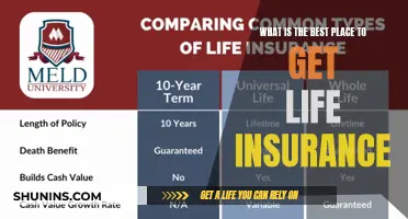 Life Insurance: Top-Rated Providers for Comprehensive Coverage