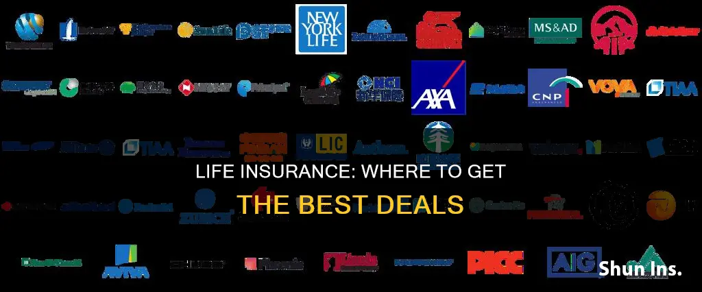 what is the best place to get life insurance