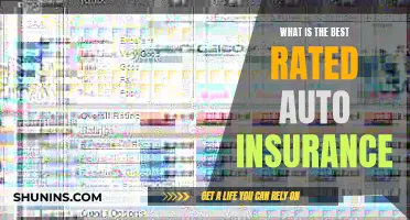 Best Auto Insurance: Top-Rated Coverage Options