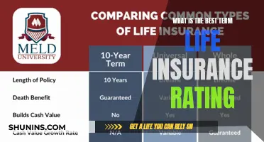 Unveiling the Top-Rated Term Life Insurance: A Comprehensive Guide