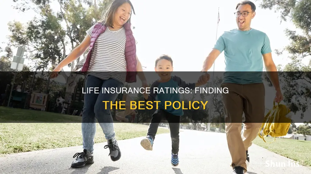 what is the best term life insurance rating