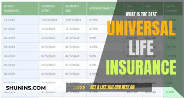 Universal Life Insurance: Navigating the Best Option for Your Needs