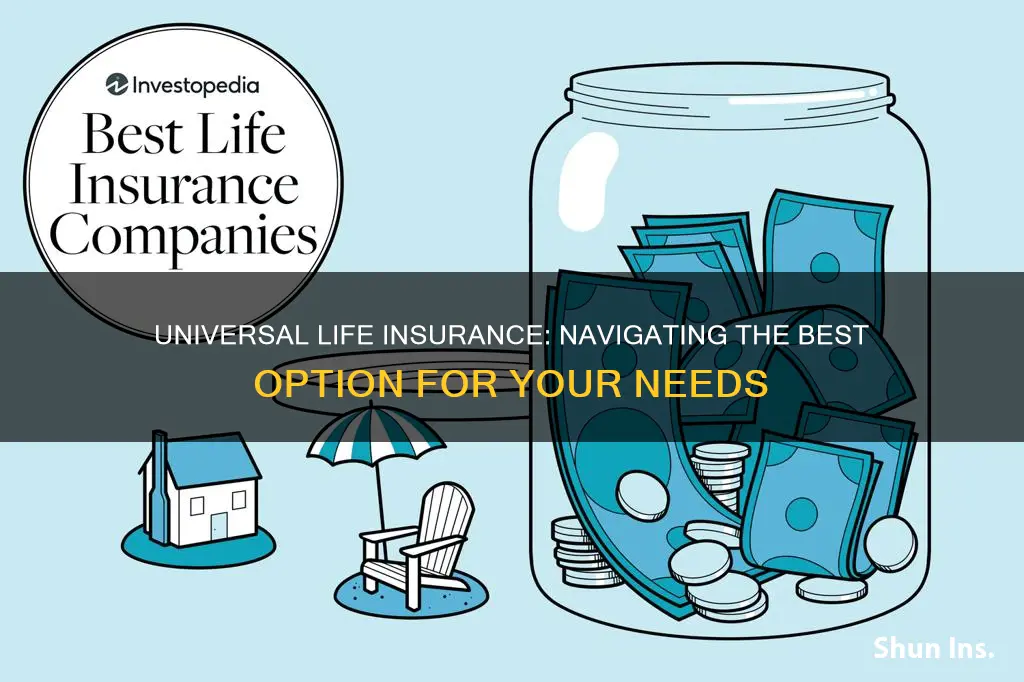 what is the best universal life insurance