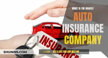 Auto Insurance Giants: Who's Leading the Pack?