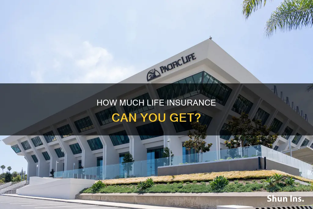 what is the biggest life insurance can a person have