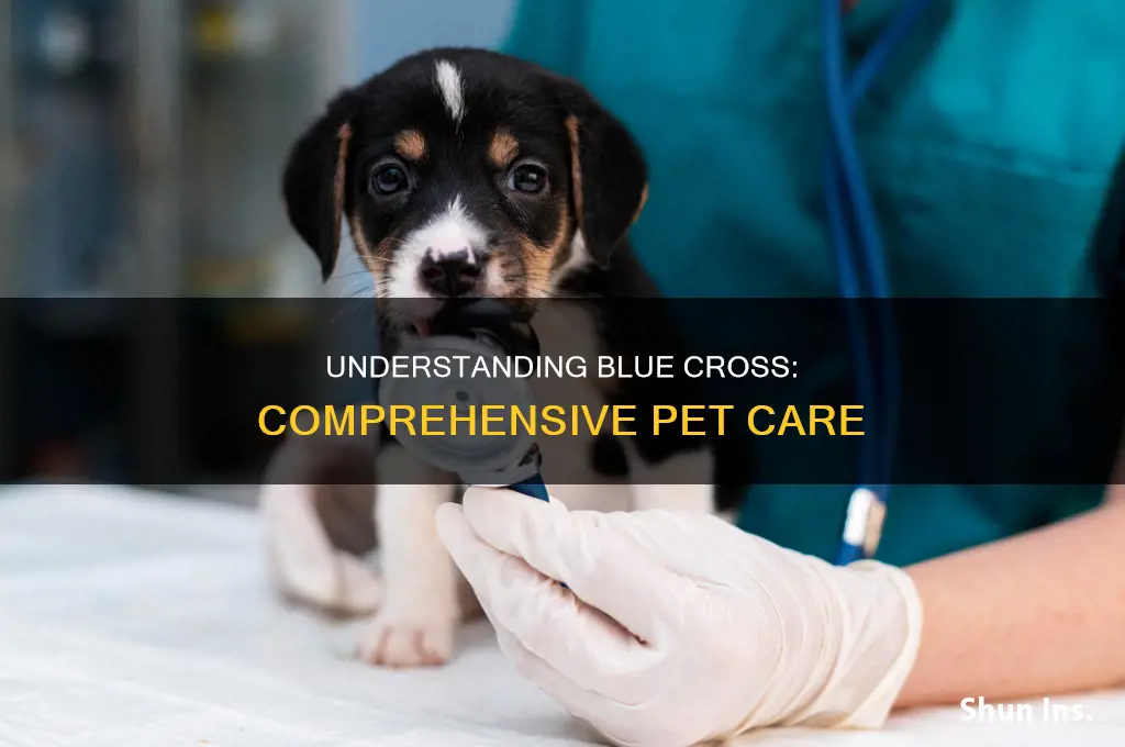 what is the blue cross