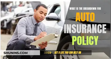 Auto Insurance Policy Breakdown: Understanding Your Coverage