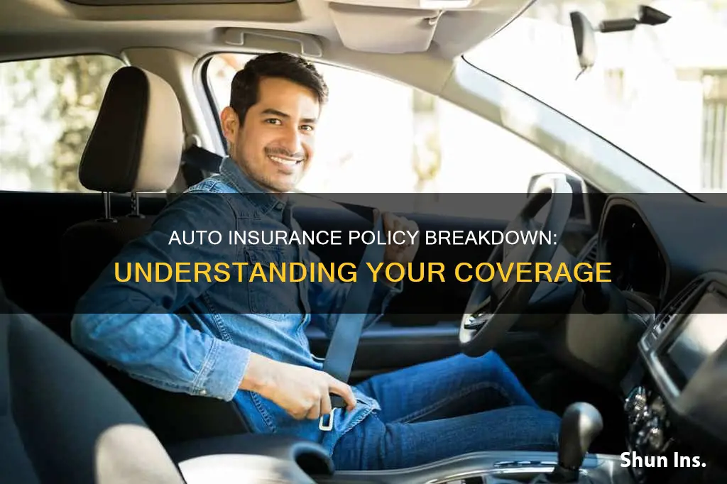 what is the breakdown for auto insurance policy