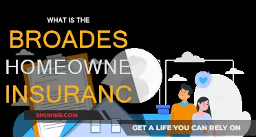 Broad Homeowners Insurance: Comprehensive Coverage for Ultimate Peace