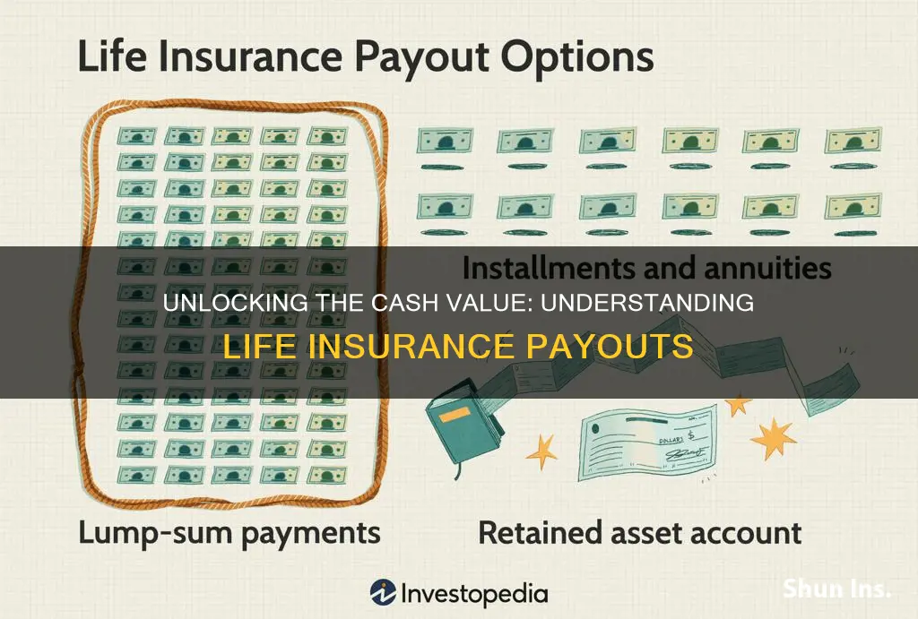 what is the cash out value of life insurance