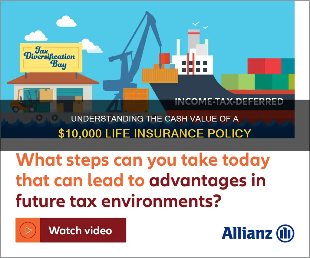 what is the cash value of a $10000 life insurance