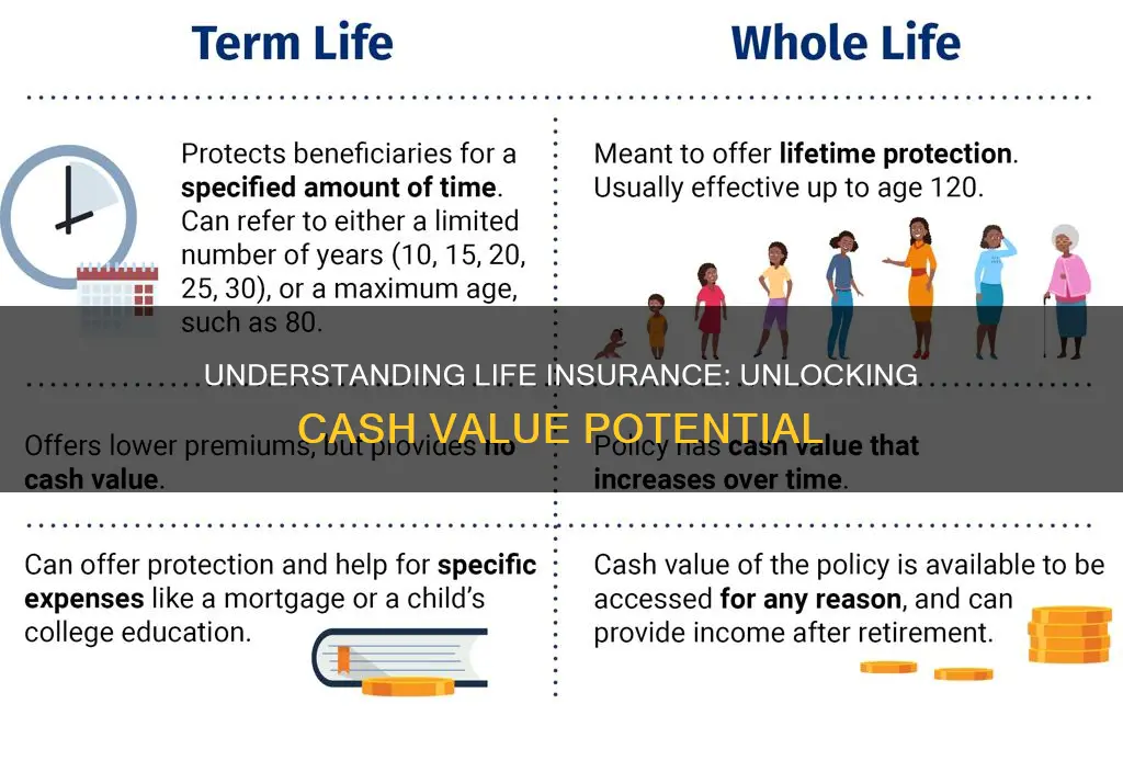what is the cash value of a life insurance pilicy