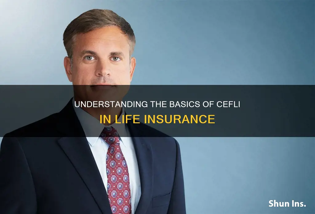 what is the cefli in life insurance