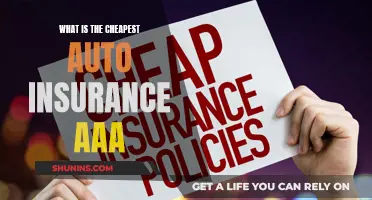 Affordable Auto Insurance: AAA's Cheapest Plans Revealed