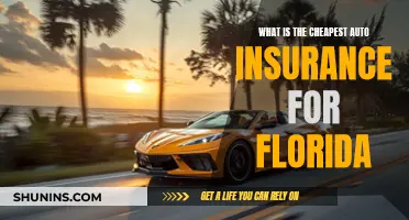 Finding Affordable Auto Insurance in Florida: Tips and Tricks