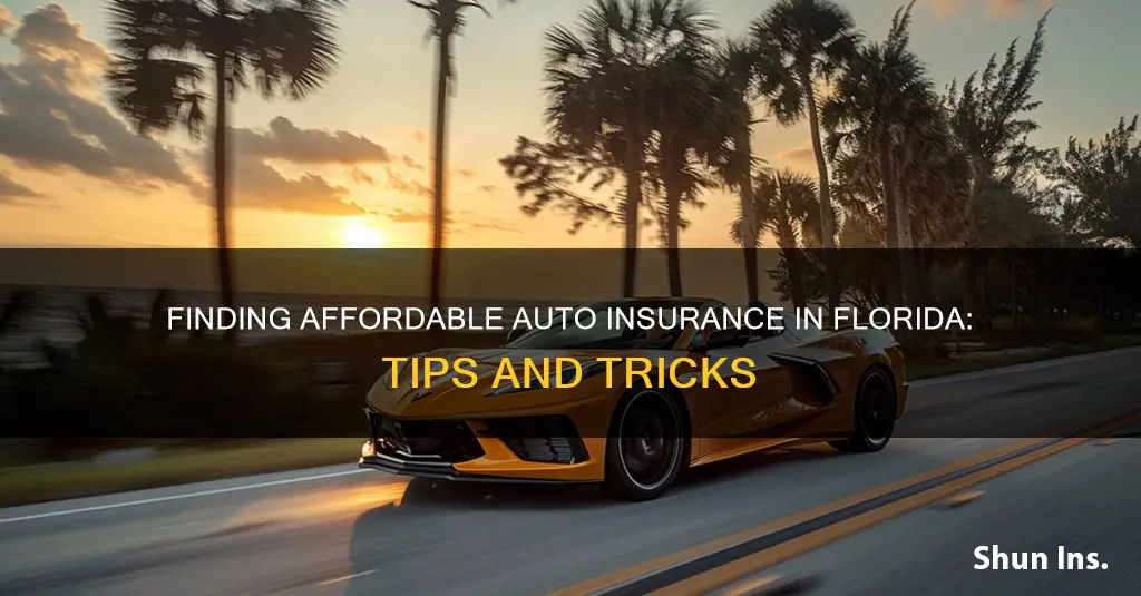 what is the cheapest auto insurance for florida