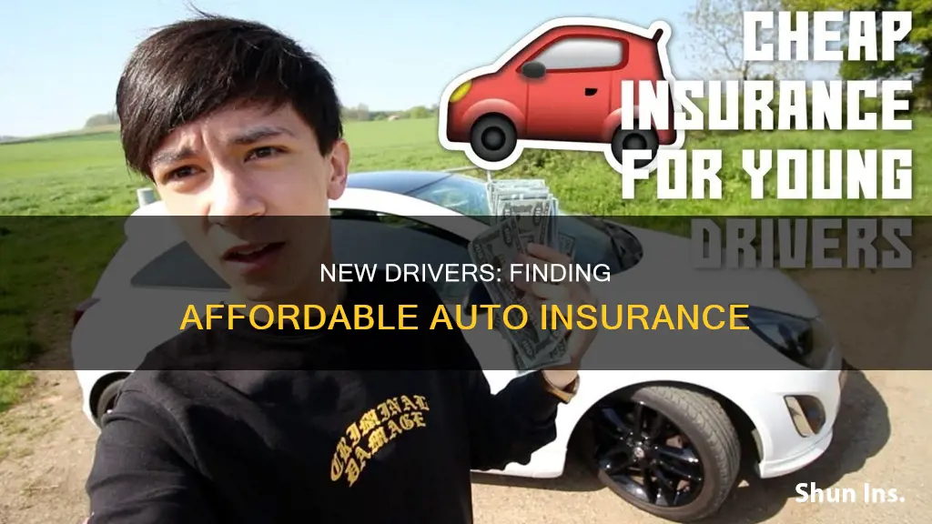 what is the cheapest auto insurance for new drivers