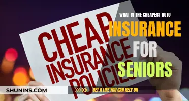 Affordable Auto Insurance Options for Senior Citizens