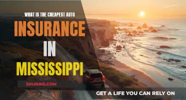 Finding Affordable Auto Insurance in Mississippi