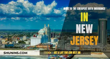 Affordable Auto Insurance in New Jersey: Finding the Cheapest Rates