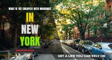 Finding Affordable Auto Insurance in New York