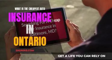 Finding the Cheapest Auto Insurance in Ontario