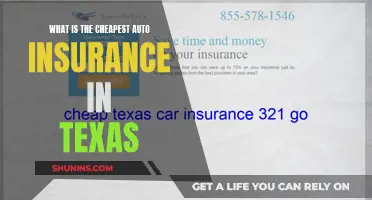 Finding Affordable Auto Insurance in Texas: Tips and Tricks