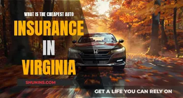 Virginia's Cheapest Auto Insurance: How to Get Covered