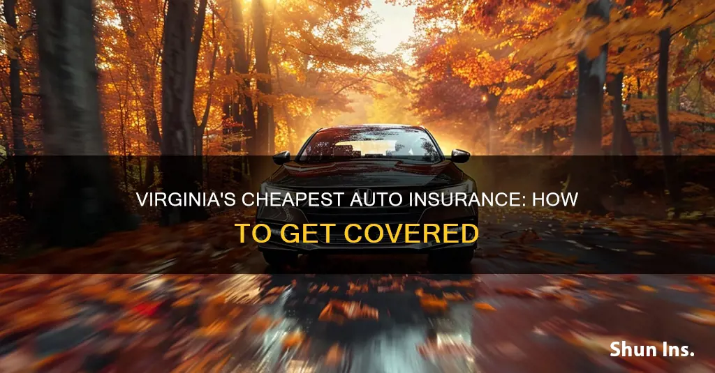 what is the cheapest auto insurance in Virginia